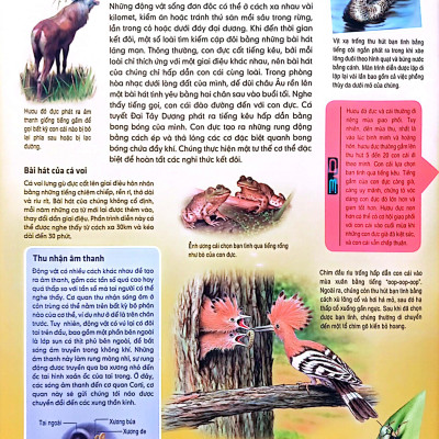 Tủ Sách Thế Giới Động Vật - Kết Đôi Và Sinh Sản (Hình Minh Họa 3D)