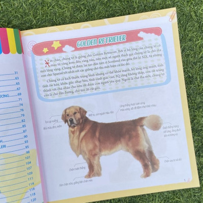 Sách- Bách Khoa Động Vật Dành Cho Trẻ Nhỏ - Thú Cưng