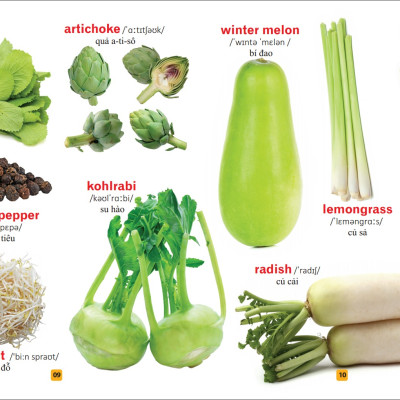 Sách: Từ Điển Tranh Về Rau - Củ - Quả - Hoa (Bìa Cứng) B55