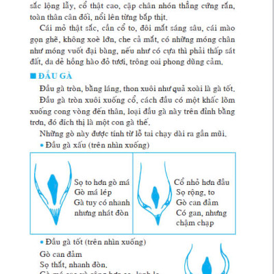 Sách - Kỹ Thuật Nuôi Gà Chọi - ndbooks