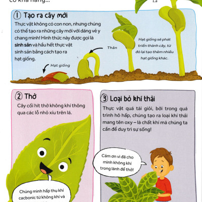 	Những Câu Hỏi Tò Mò Và Giải Đáp Thú Vị Về Thực Vật _HH