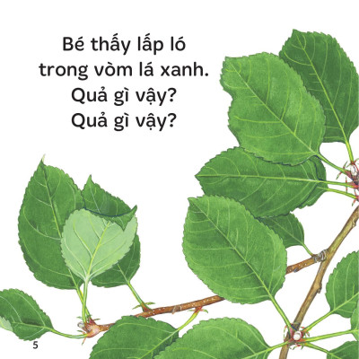 Sách - Sách Ehon - Ú Òa! - Quả Gì Đây? - Bìa Cứng