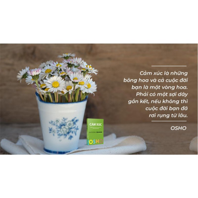 Osho Cảm Xúc Chuyển Hóa Nỗi Sợ Hãi, Giận Dữ và Ghen Tuông Thành Năng Lượng Sáng Tạo - FirstNews