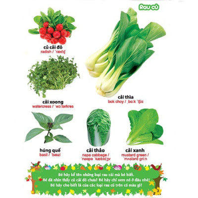 Sách: Từ Điển Tranh Về Rau - Củ - Quả - Hoa (Bìa Cứng) B55