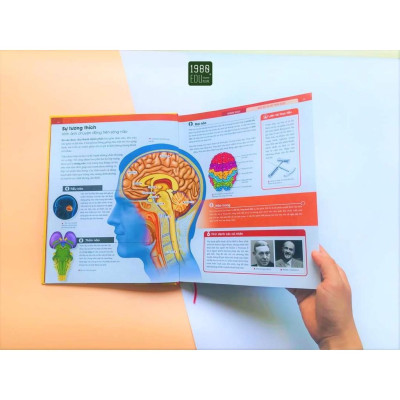 Sách - Human Body - Bách Khoa Toàn Thư Về Cơ Thể Của Chúng Ta - Bìa Cứng - 1980 Books