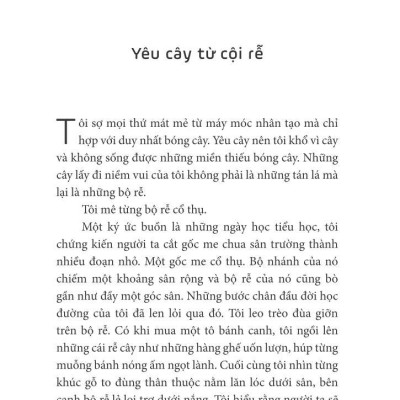 Trò Chuyện Với Lục Bình