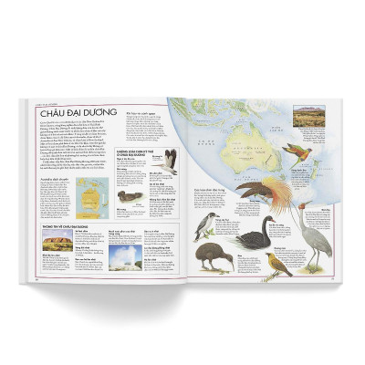 Sách - Atlas Các Loài Chim - Đông A