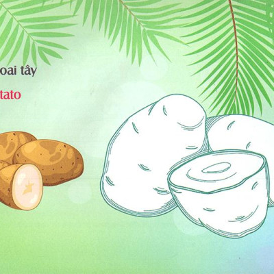 Bé Làm Quen Môi Trường - Rau Củ