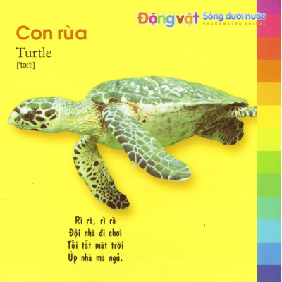 Bé Khám Phá Môi Trường Xung Quanh - Động Vật Sống Dưới Nước _ML