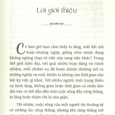 Thiền Như Một Phật Tử - Đưa Đạo Phật Vào Đời Sống Để Thân Khoẻ Tâm An - Cynthia Kane; Lý Ngọc Huệ dịch