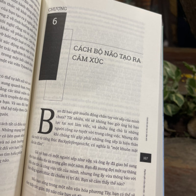 (Tủ sách Hiểu Thực Tại) Bộ tứ Ma trận truyền thông: Nguồn gốc cảm xúc - Bí ẩn sống động của bộ não – Lisa Feldman Barrett - Phương Mạnh dịch – Lyceum – Nxb Dân Trí 