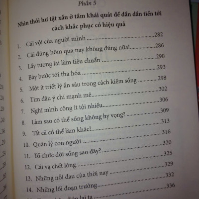 Sách Cái Vội Của Người Mình (Vương Trí Nhàn)