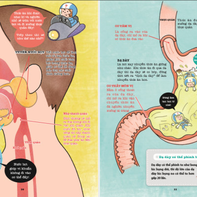 Khám phá bí ẩn cơ thể người