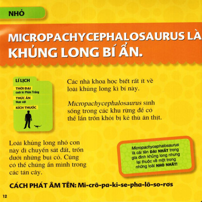 Sách - Cuốn Sách Lớn Đầu Tiên Của Tớ - Khủng Long (Tái Bản 2023)