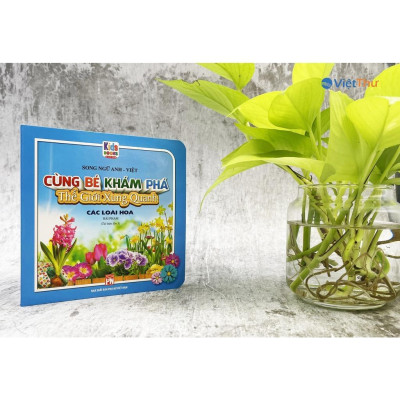 Sách - Boxset Cùng Bé Khám Phá Thế Giới Xung Quanh - Song Ngữ Anh Việt - Việt Thư