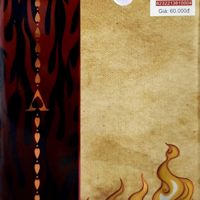 Tiểu Thuyết One Piece - Chuyện Về Ace - Tập 2 - Nổi Danh Ở Tân Thế Giới