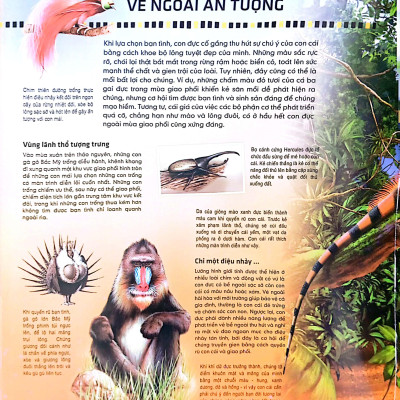 Tủ Sách Thế Giới Động Vật - Kết Đôi Và Sinh Sản (Hình Minh Họa 3D)