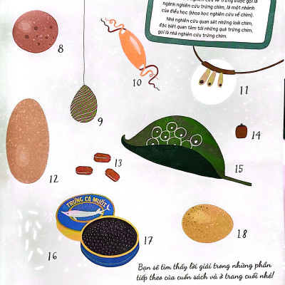 Quả Trứng Và Hơn Thế Nữa - Dưới Góc Nhìn Sinh Học Và Văn Hóa, Kèm Theo Các Trò Chơi Và Thực Hành Thú Vị