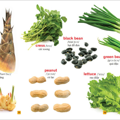 Sách: Từ Điển Tranh Về Rau - Củ - Quả - Hoa (Bìa Cứng) B55