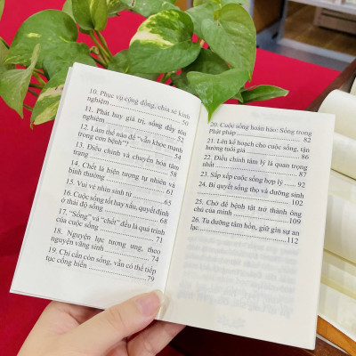 Sách - Trải nghiệm và tận hưởng cái đẹp trong cuộc sống - Hòa thượng Thánh Nghiêm - Vĩnh nghiêm Books