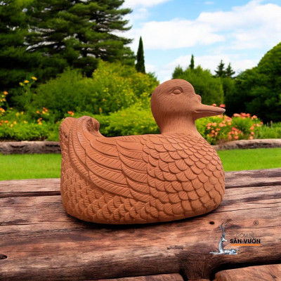 Chậu Gốm Đất Nung Hình Con Vịt Ducky