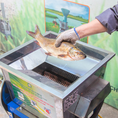 Máy cắt cá 3A2,2Kw chính hãng