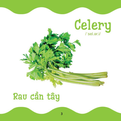 Cùng Con Trưởng Thành - Từ Điển Bằng Hình Cho Trẻ Mầm Non - Rau Củ Quả