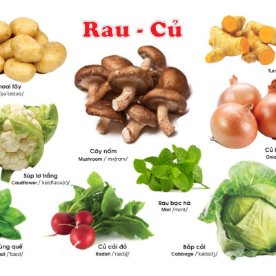 Sách - Từ điển bằng tranh Rau Củ Quả(135)- ndbooks