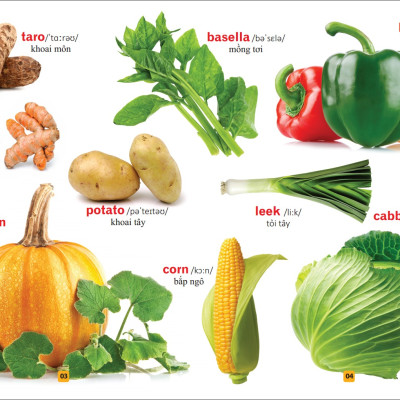 Sách: Từ Điển Tranh Về Rau - Củ - Quả - Hoa (Bìa Cứng) B55