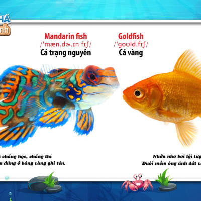 Song Ngữ Anh - Việt CBKPTGXQ - Động Vật Dưới Nước