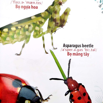 Thư Viện Hình Ảnh Song Ngữ Đầu Tiên Của Bé - Côn Trùng Và Bò Sát - VT