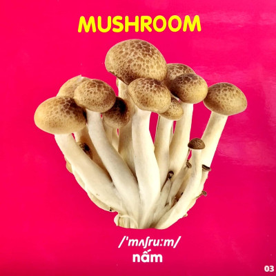 Bách Khoa Toàn Thư Cho Bé - Rau, Củ, Quả