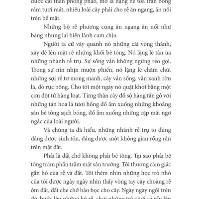 Trò Chuyện Với Lục Bình