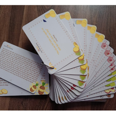 Sách - Combo 3 cuốn FlashCard Những câu dẫn đưa lí luận văn học + nghị luận xã hội