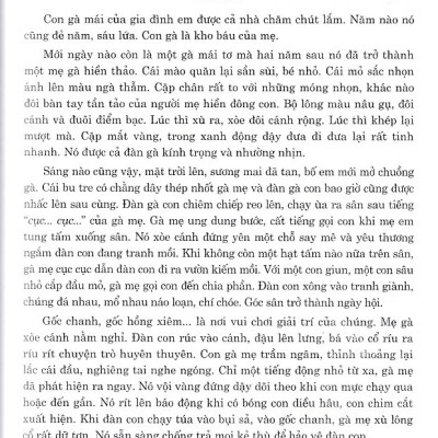 Những bài văn Miêu tả lớp 4 - Dùng chung cho các bộ SGK