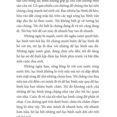 Trò Chuyện Với Lục Bình