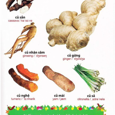 Sách: Từ Điển Tranh Về Rau - Củ - Quả - Hoa (Bìa Cứng) B55