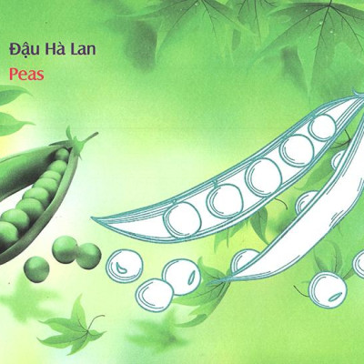Bé Làm Quen Môi Trường - Rau Củ
