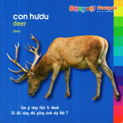 	Bé Khám Phá Môi Trường Xung Quanh - Động Vật Hoang Dã _ML