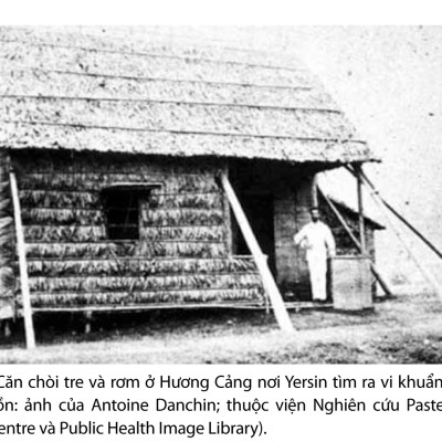 SÀI GÒN VÀ NAM KỲ TRONG THỜI KỲ CANH TÂN 1875-1925