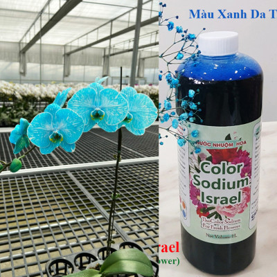 NƯỚC MÀU NHUỘM HOA LAN CHẬU DẠNG NƯỚC MÀU "ĐẶC BIỆT" CHAI 1L CÔNG NGHỆ ISRAEL GIÚP ĐỔI MÀU LAN HỒ ĐIỆP TRỒNG CHẬU (CHAI 1L NHUỘM TRÊN 300 CHẬU)