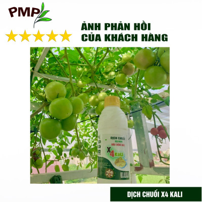 Combo 2 Chai Dịch Chuối Humic PMP Vi Sinh Chuyên Dùng Cho Hoa Hồng, Rau Sạch 1L/Chai