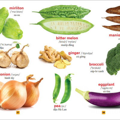 Sách: Từ Điển Tranh Về Rau - Củ - Quả - Hoa (Bìa Cứng) B55