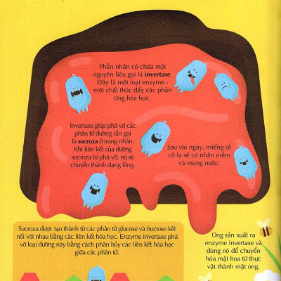 Sách 100 Bí Mật Kinh Ngạc - 100 Bí Ẩn Kinh Ngạc Về Thức Ăn