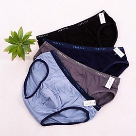 Combo 2 quần lót nam cotton lụa trơn Nhật 076