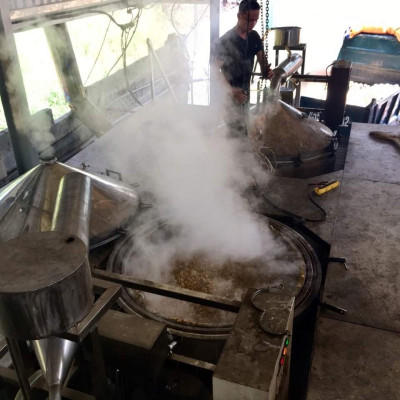 Tinh dầu gỗ Thông đen nguyên chất tự nhiên, xông phòng, khử mùi, thơm phòng, đuổi muỗi - KingOil