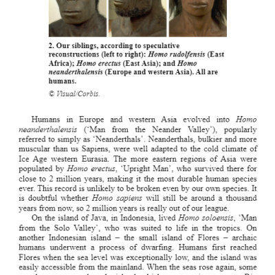 Sapiens : A Brief History of Humankind (Paperback)