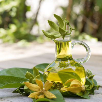 Tinh dầu Ngọc Lan Tây 50ml Mộc Mây - tinh dầu thiên nhiên nguyên chất 100% - chất lượng và mùi hương vượt trội