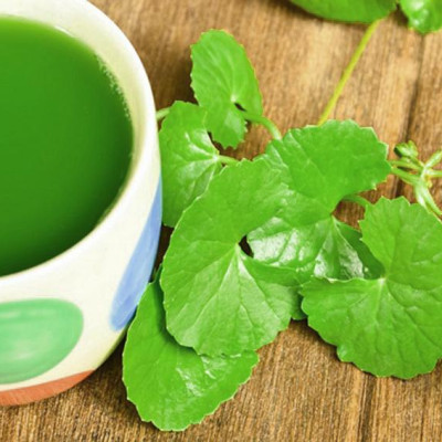 Bột Rau Má Nguyên Chất OneLife ( 100gr )