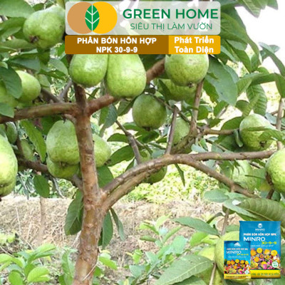 Phân NPK 30-9-9 +TE Greenhome, Minro, Bao 1Kg, Phát Triển Nhanh Thân, Cành, Lá, Bộ Rễ